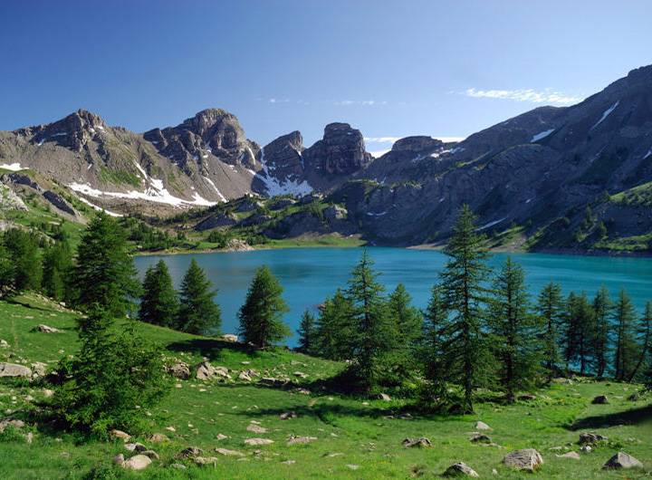 Allos